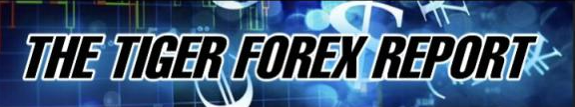 The Tiger Forex Report - Webinar Archive Now Available 10-28-22